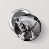 Dressurpferd Schwarz und Weiß Button (Vorne & Hinten)