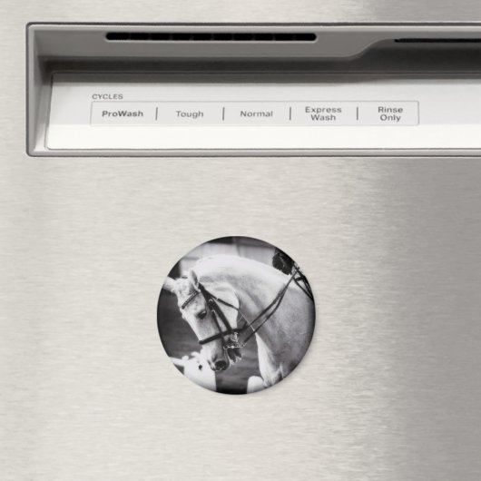 Dressurpferd Schwarz und Weiß Magnet (In Situ (Geschirrspüler))