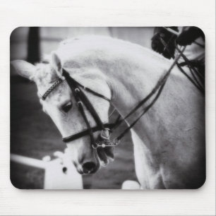 Dressurpferd Schwarz und Weiß Mousepad
