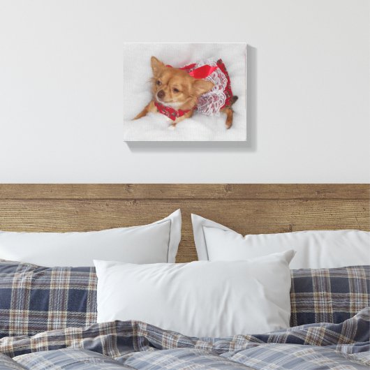 Dressy chihuahua leinwanddruck (Insitu (Schlafzimmer))
