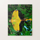 Drexel-Schmetterling. Puzzle (Vertikal)