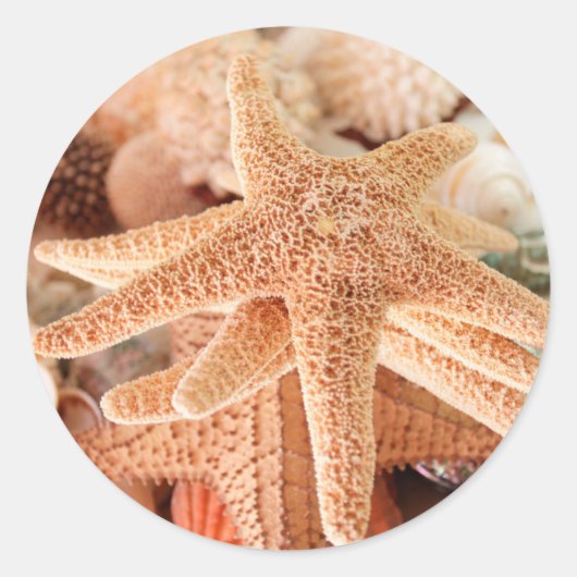 Dried sea stars sold's as erinnerungen 2 runder aufkleber (Vorderseite)