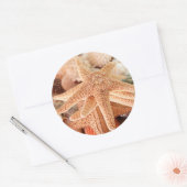 Dried sea stars sold's as erinnerungen 2 runder aufkleber (Umschlag)