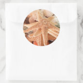 Dried sea stars sold's as erinnerungen 2 runder aufkleber (Tasche)