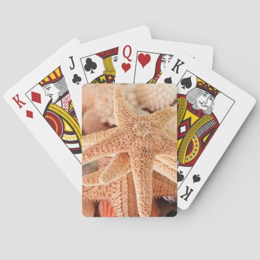 Dried sea stars sold's as erinnerungen 2 spielkarten (Rückseite)