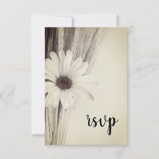 Dried Wheat and Daisy Country Farm Wedding RSVP Karte (Vorderseite)