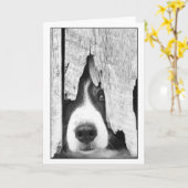 Drift Karte (Gelbe Blume)