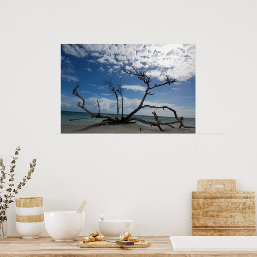 Drift Wood Poster (Küche)