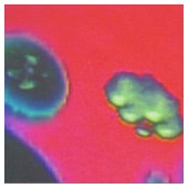 Drifting Reverie Fabric Stoff (Nahaufnahme)