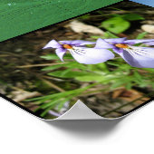 Driftless Area Map Poster (24x36in) (Ecke)