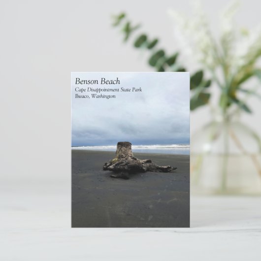 Driftwood am Strand von Benson, Cape Enttäuschung, Postkarte (Stehend Vorderseite)