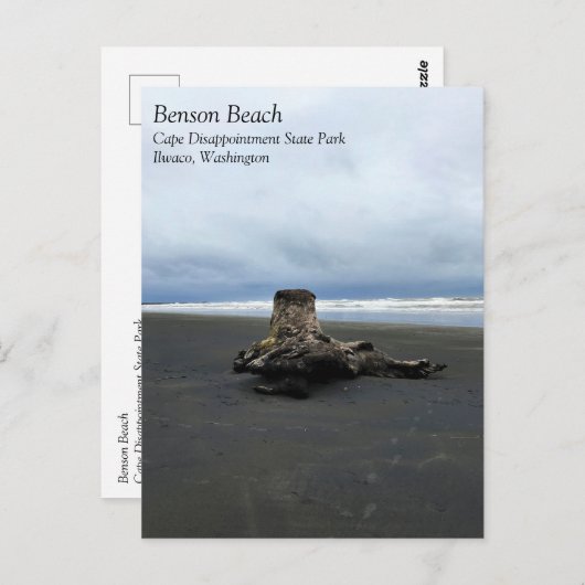 Driftwood am Strand von Benson, Cape Enttäuschung, Postkarte (Vorne/Hinten)