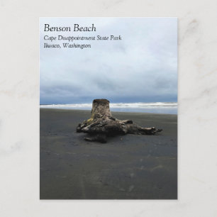 Driftwood am Strand von Benson, Cape Enttäuschung, Postkarte