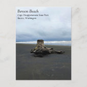 Driftwood am Strand von Benson, Cape Enttäuschung, Postkarte (Vorderseite)