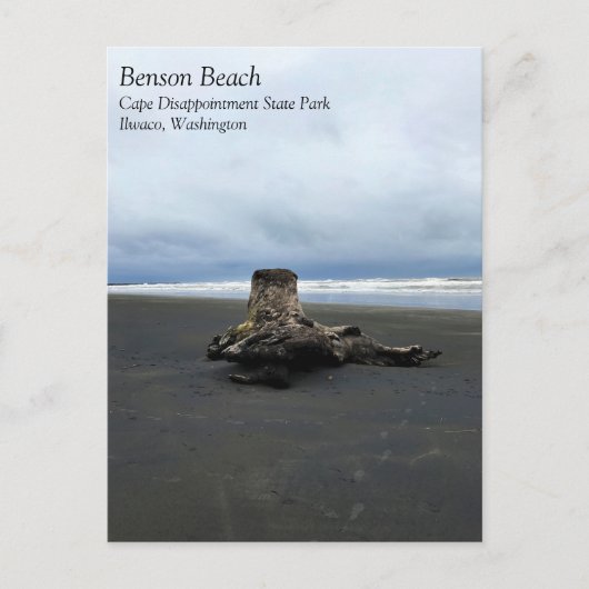Driftwood am Strand von Benson, Cape Enttäuschung, Postkarte (Vorderseite)