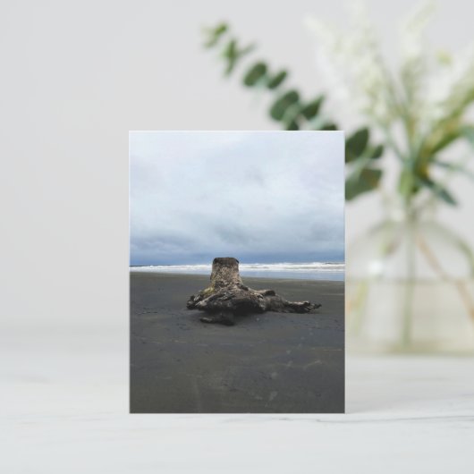 Driftwood am Strand von Benson, Cape Enttäuschung, Postkarte (Stehend Vorderseite)