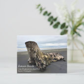 Driftwood am Strand von Benson, Cape Enttäuschung, Postkarte (Stehend Vorderseite)