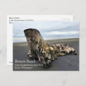 Driftwood am Strand von Benson, Cape Enttäuschung, Postkarte (Vorne/Hinten)