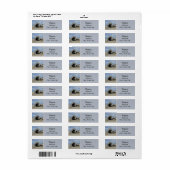 Driftwood auf California Coast Beach Foto (Vorne)