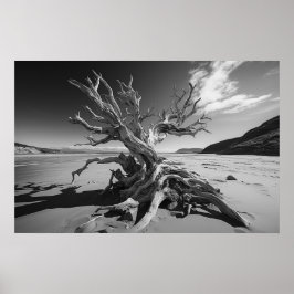 Driftwood-Baumstamm B&W-Foto Poster