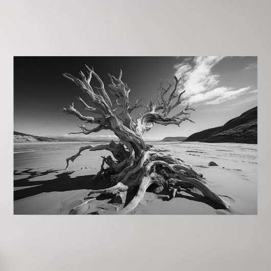 Driftwood-Baumstamm B&W-Foto Poster (Vorne)