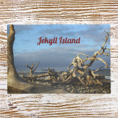 Driftwood Beach auf Jekyll Island Doormat Fußmatte