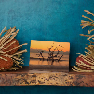 Driftwood Beach auf Sunrise Jekyll Island Georgia Fotoplatte