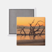 Driftwood Beach auf Sunrise Jekyll Island Georgia Magnet (Vorderseite/Rückseite)