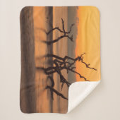 Driftwood Beach auf Sunrise Jekyll Island Georgia Sherpadecke (Vorderseite)