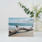 Driftwood Beach Feiertagspostkarte (Stehend Vorderseite)