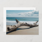 Driftwood Beach Feiertagspostkarte (Vorne/Hinten)