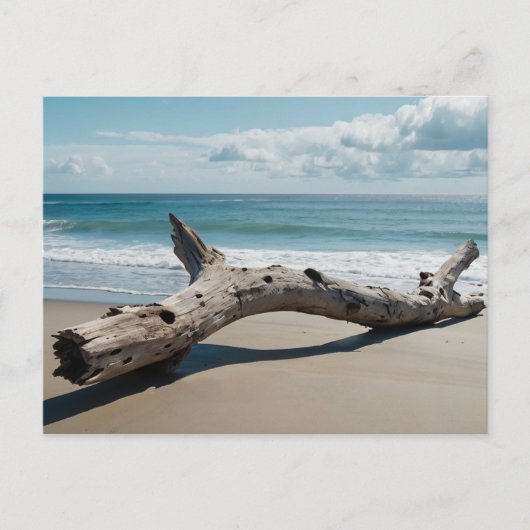 Driftwood Beach Feiertagspostkarte (Vorderseite)
