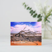 Driftwood Beach Jekyll Island Georgia Postcard Postkarte (Stehend Vorderseite)