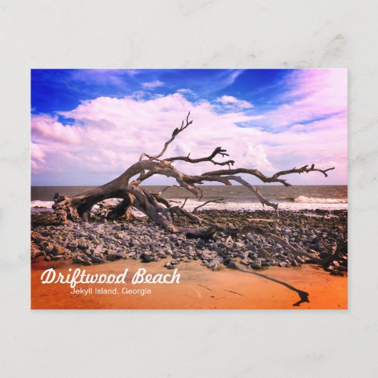 Driftwood Beach Jekyll Island Georgia Postcard Postkarte (Vorderseite)