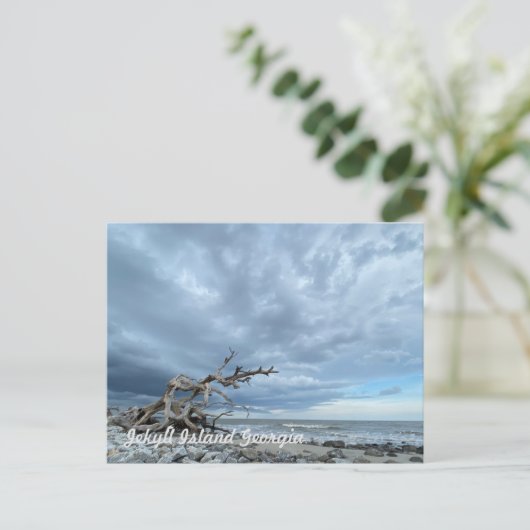 Driftwood Beach Postkarte (Stehend Vorderseite)