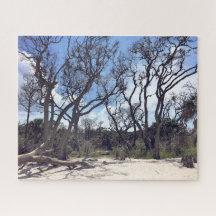 Driftwood Beach Puzzle