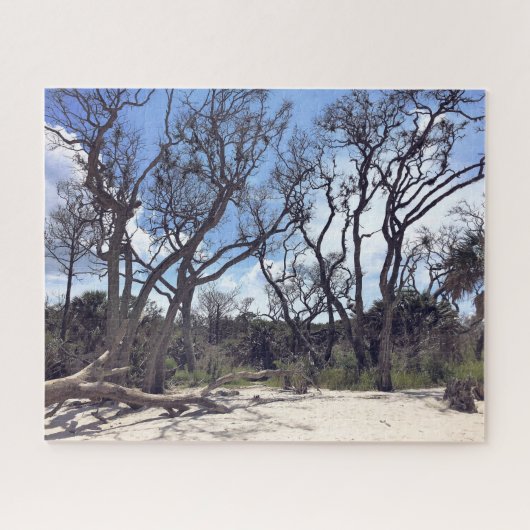 Driftwood Beach Puzzle (Horizontal)