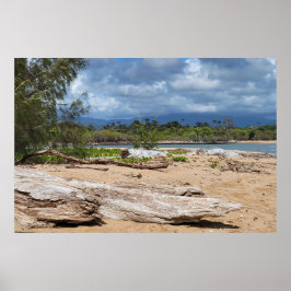Driftwood Beach Szene Poster