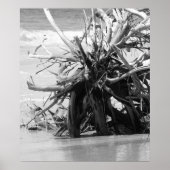 Driftwood Burial Poster (Vorne)