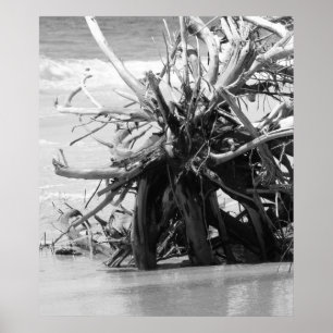 Driftwood Burial Poster