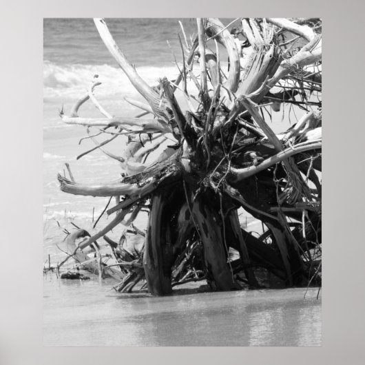 Driftwood Burial Poster (Vorne)