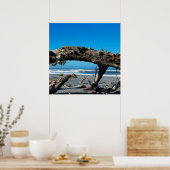 Driftwood Coast Beach Nature Foto Poster (Küche)