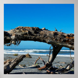 Driftwood Coast Beach Nature Foto Poster