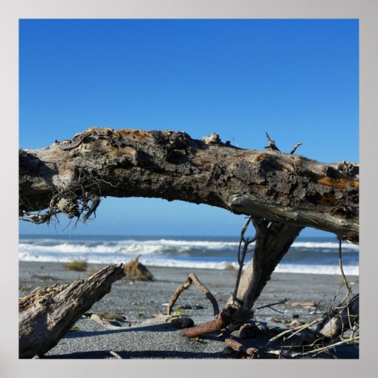 Driftwood Coast Beach Nature Foto Poster (Vorne)