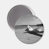 Driftwood Discovery Park Magnet (Vorderseite/Rückseite)