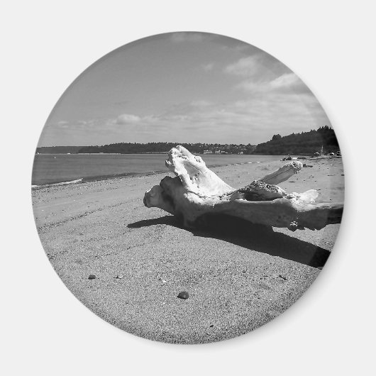 Driftwood Discovery Park Magnet (Vorne)