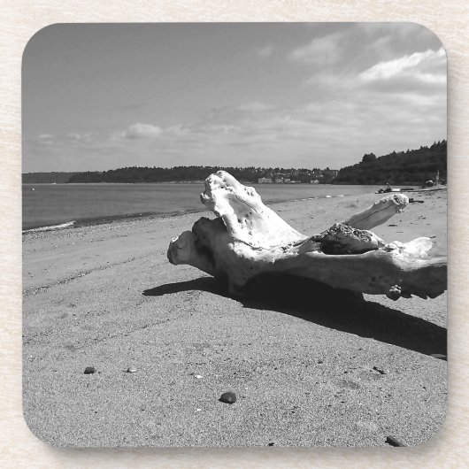 Driftwood Discovery Park Untersetzer (Vorderseite)