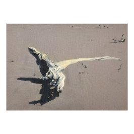 Driftwood Fotodruck