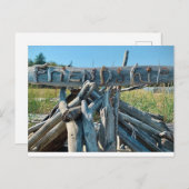 Driftwood Friendship Postkarte (Vorne/Hinten)