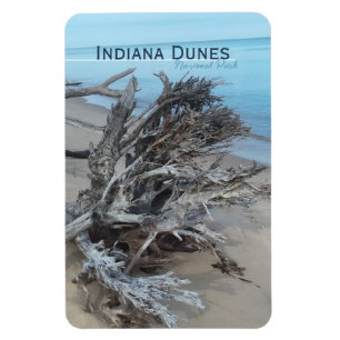 Driftwood Indiana Dunes National Park Magnet